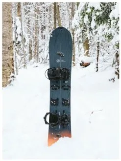 Burton Family Tree Straight Chuter Splitboard 21/22 + Pucks + Skins 21 Burton Family Tree Straight Chuter Splitboard 21/22 + Pucks + Skins -Vendite ZANDSTRA burton family tree straight chuter splitboard 21 22 incl pucks skins 159 6