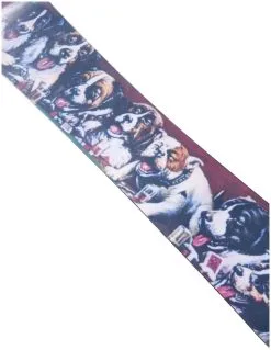 Burton Good Company -Vendite ZANDSTRA burton good company 3 1