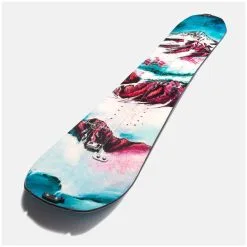 Jones Dream Catcher Splitboard 21/22 + Skins 21 Jones Dream Catcher Splitboard 21/22 + Skins -Vendite ZANDSTRA jones dream catcher splitboard 21 22 incl skins 148 7
