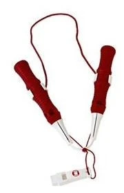 Skyllermarks Hansadubben Isdubbar