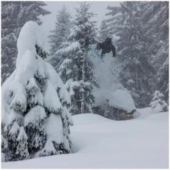 Yes! Yes Warca Uninc Jps 11 Yes! Yes Warca Uninc Jps -Vendite ZANDSTRA yes warca uninc jps 1