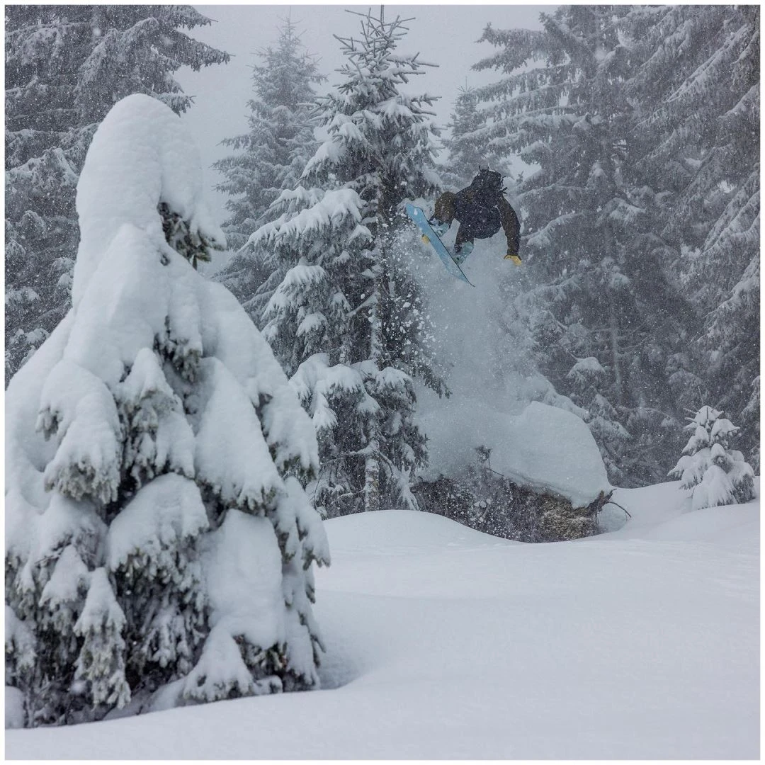 Yes! Yes Warca Uninc Jps 5 Yes! Yes Warca Uninc Jps - immagine 3