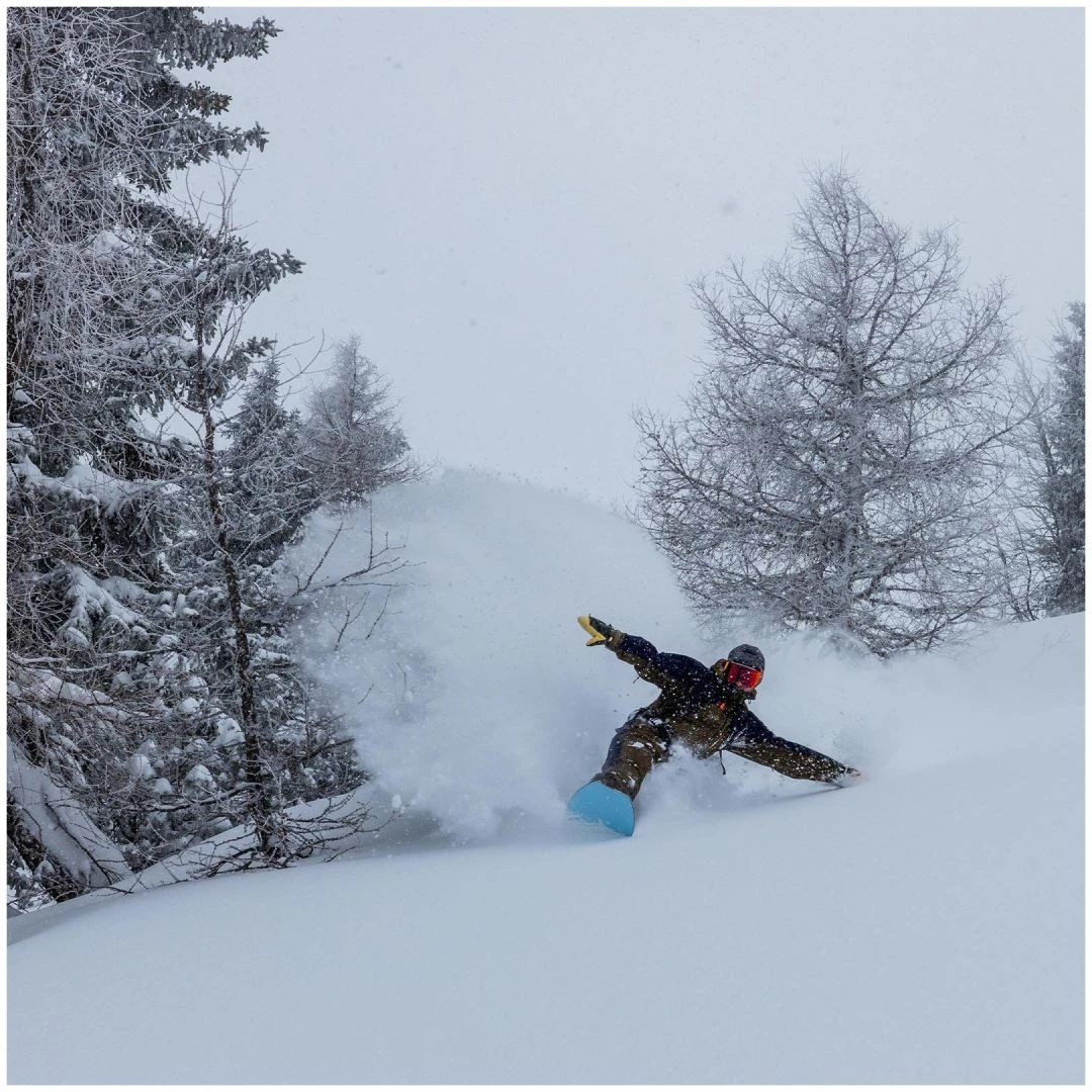 Yes! Yes Warca Uninc Jps 8 Yes! Yes Warca Uninc Jps - immagine 6